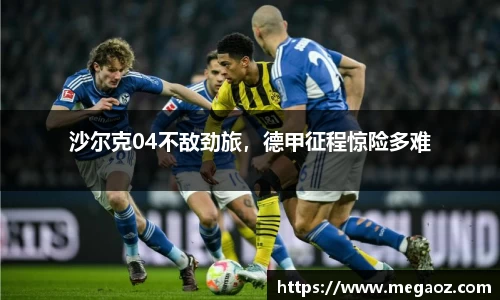 沙尔克04不敌劲旅，德甲征程惊险多难