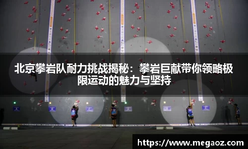JJB竞技宝官网