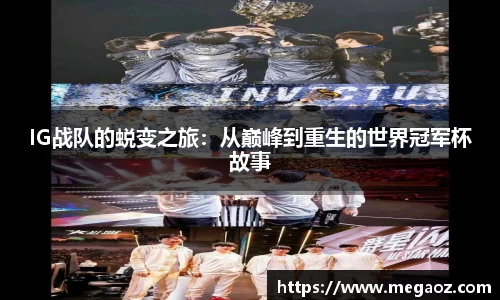 JJB竞技宝官网