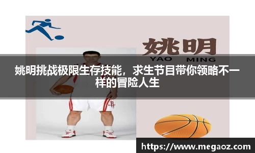 竞技宝官网