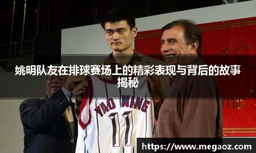 JJB竞技宝官网