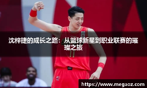 JJB竞技宝官网